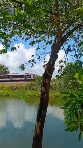 Mancing dulu disamping rel kereta api