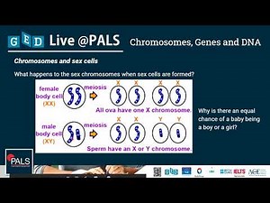 Pass GED Science | Chromosomes, Genes and DNA