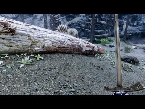 Showcase - The Skyrim SE 2021 Next Gen Graphics Tutorial!
