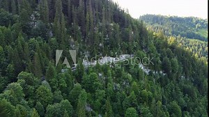 Steep road leading up a mountain in the Alps in Lofer, Austria.