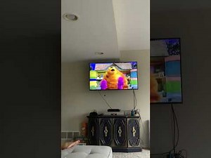 Opening To Bear In The Big Blue House Live 2003 VHS