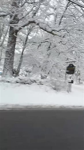 Boston tile specialist inc. (@samuelbeckerleal)’s videos with Deus Vai Na Frente - Taís e Otavio