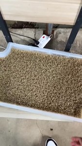 37K views · 629 reactions | crab farming in china | True Facts | Facebook