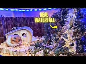 Building a Hamster MANSION 🐹
