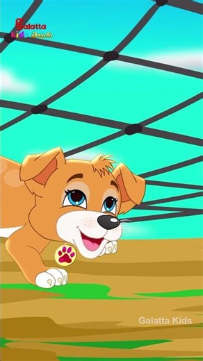 BINGO dog song City Version బింగో - Telugu Nursery Rhymes for Children | Galatta Kids Shorts