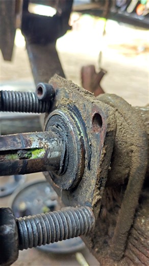 Axcel bearing open system #automobile