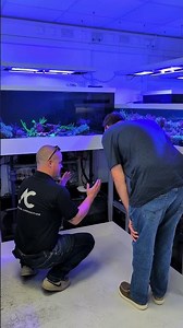 Control, monitor and PROTECT your aquarium with Neptune Systems Apex! 🔥🙌 #saltwateraquarium