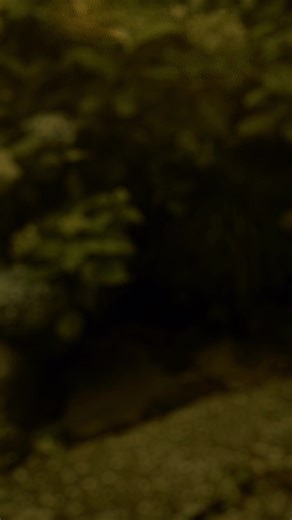 💙お休み投稿💙 今年の紫陽花は奈良 矢田寺へ ジメジメしたこの時期ですが 毎年、大好きな紫陽花が満開になるのが楽しみで 実は梅雨が嫌いではない😙 今年も素敵な紫陽花に 会いに行きました🥰 #村上建設株式会社 #土木施工管理 #求人 #募集 #東京 #大阪