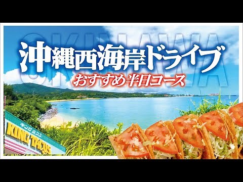 【沖縄ドライブ】半日で行ける魅力の北部コース