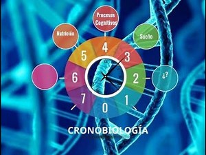 Cronobiología y metabolismo: conocimientos para mejorar nuestra salud y evitar enfermedades