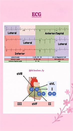 𝐃𝐫.𝐌𝐚𝐧𝐚𝐥𝐢 | 𝐇𝐄𝐀𝐋𝐓𝐇 & 𝐌𝐄𝐃𝐈𝐂𝐈𝐍𝐄 on Instagram: "⚡💓 ECG An ECG (Electrocardiogram) records the electrical activity of the heart —a simple line tracing that reveals life-saving details. --- 🔑 P → Atrial depolarization ❤️ QRS → Ventricular depolarization ⚡ T → Ventricular repolarization ? --- 💡 PR interval → AV nodal delay (0.12–0.20 sec) QRS complex →