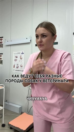 Умоляю, до конца 😂😂😂 Надеюсь, что вы так не думаете 🙈☺️#ветеринариямояжизнь❤️