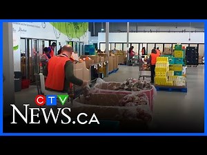 Calgary's quality of life improves