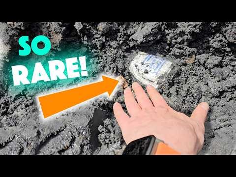 This MEGA find takes us on a CRAZY journey!