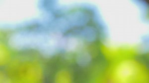 Free Spa Videos: 4K & HD | No Watermark | Download Now