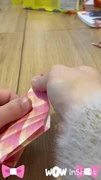 Origami Nails Arts and Crafts Fun for Kids