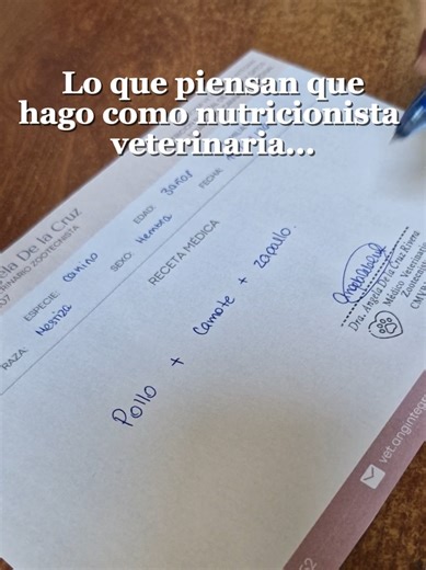 Nutrición Veterinaria: Más que Solo Pollito y Camote