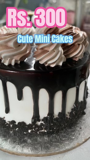 Affordable Cute Mini Cakes at Rs 300 | Limited Time Offer