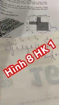 Grade 8 Geometry Semester 1 Review for the Semester 1 Exam (Practical) #shorts