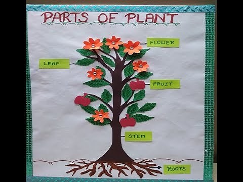 Parts of Plant Model for Students | Easy Model for kids | Science Model