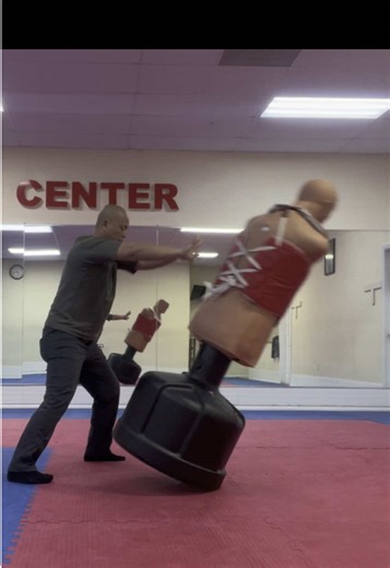 Exploring Bagua Martial Arts Techniques and Fajin