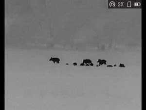 HikMicro OWL OQ35 - Handheld Thermal Monocular Recording - Multiple Color Palettes - Cape Thermal