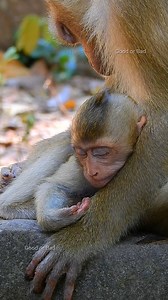 5.9K views · 965 reactions | Why Rainbow sleeping so long hours like that! what's wrong with baby! | Good Or Bad | Facebook