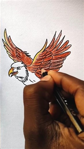 🦅Eagle Drawing/🦅✏️Eagle ka Drawing Kaise Banaen/🤔🦅How to Draw Eagle#shorts#trending#viral