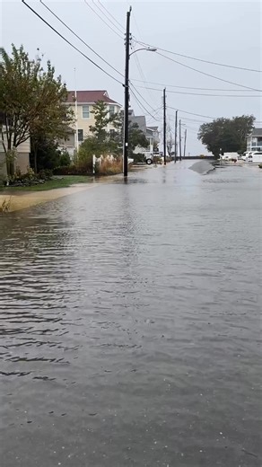 Getting my steps in moments ago in Beach Haven Terrace. | Pamela Stetson LBI Real Estate