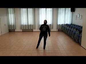 Neon Moon Lernvideo Teach & Dance Line Dance Biene Teil 1