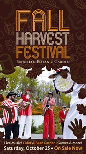 Celebrate fall surrounded by some of Brooklyn’s most fabulous foliage. Check out live music, a cider and beer garden, pumpkin-decorating, and more. | Brooklyn Botanic Garden
