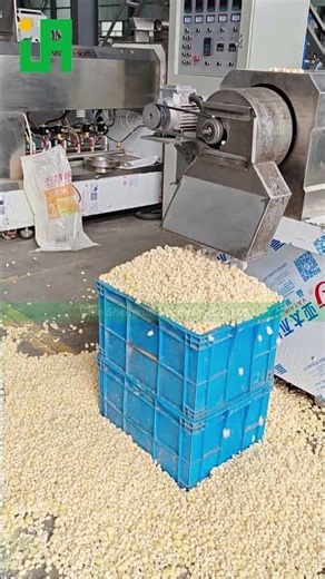 Not Real Nuts, But Super Crunchy: Cashew-Shaped Snack Production #puffedsnack