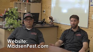 Introducing Madsen Pest Management! MPM is one of our newest sponsors and can help you with your insect/pest/wildlife issues. | WE ARE Osceola | Facebook