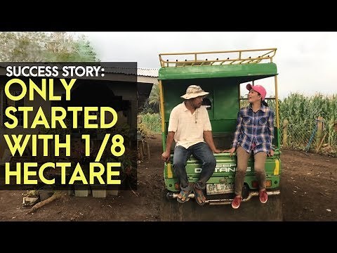 Ampalaya Farming in the Philippines: How it Succeeded from 2,000 SQM to 8 Hectares