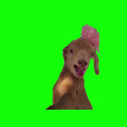 cabra chilllando meme Green Screen