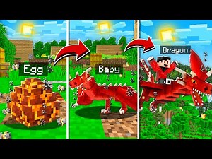 I TAMED The BEST DRAGON in Minecraft!