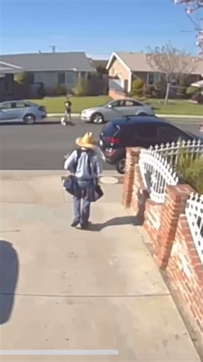 5.7K views · 14 reactions | Heartwarming Moments Caught on Camera!...