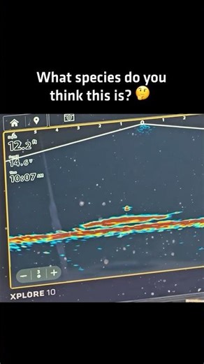 An absolute MONSTER 🫨 #Humminbird