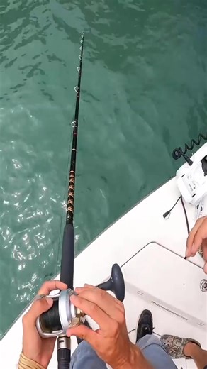 Slowly Reeling in a Fish: Fishing Tips and Techniques