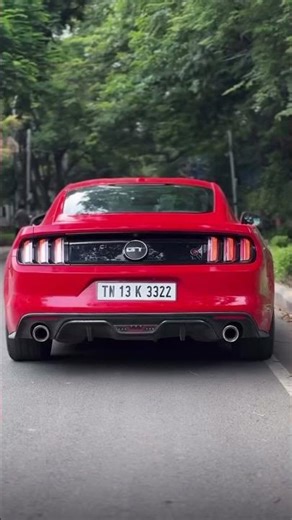 Ford Mustang GT vs. Shelby GT500: Differences Explained 9 November 2025