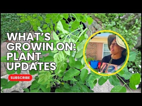 What’s Growin’ On