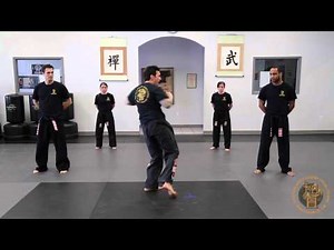 TRAINMEJDF.COM Promo: Butterfly Kick