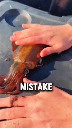 Most People Don’t Know This… 😳🐙 #shorts