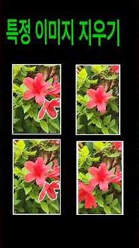 Erasing specific images (object erasing)