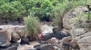 21 rotting human bodies were on Monday discovered floating in river Yala, Siaya County by a man known as Okero. Haki Afrika, a humanitarian organization responded to calls from social media on reports of the bodies. Haki Afrika Directo Hussein Khalid they have a list of 67 victims of enforced disappearances from 2021 and 8 so far in 2022. | THE KENYAN DIASPORA MEDIA
