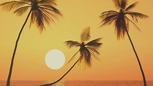 Travel Advisories for 2024 - Watch This Before You Book Your Trip