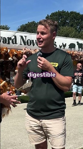 Pure or Dry dog food better for your dog digestion?