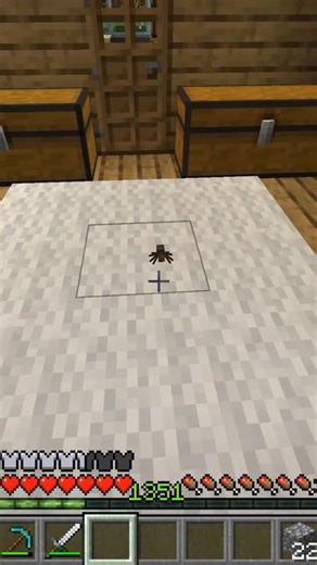 minecraft moment 💀 #minecraft