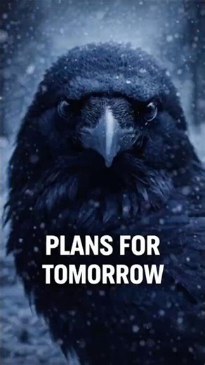 Why Ravens Plan for the Future