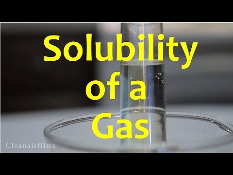 How Temperature Affects the Solubility of Gases - Experiment